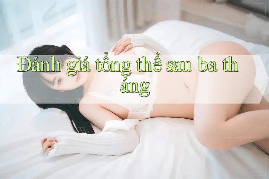 Đánh giá tổng thể sau ba tháng