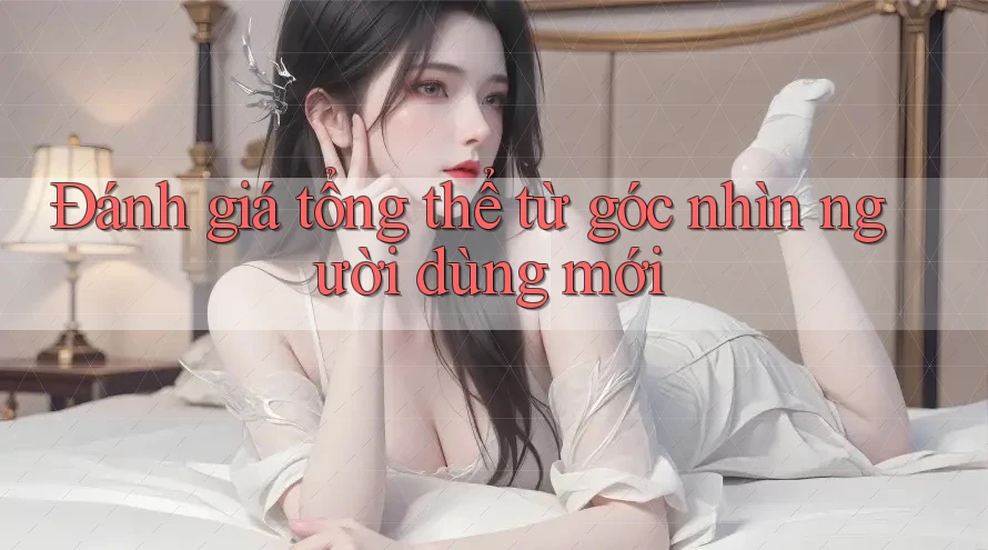 Đánh giá tổng thể từ góc nhìn người dùng mới