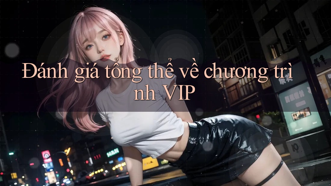Đánh giá tổng thể về chương trình VIP