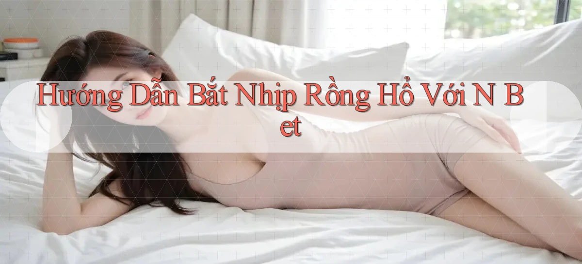 hướng dẫn bắt nhịp rồng hổ với n bet