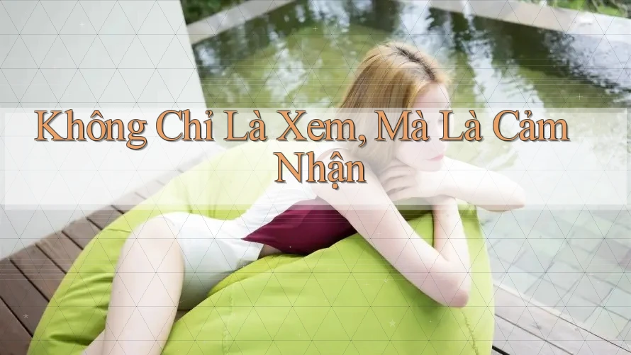 Không Chỉ Là Xem, Mà Là Cảm Nhận Không Chỉ Là Xem, Mà Là Cảm Nhận