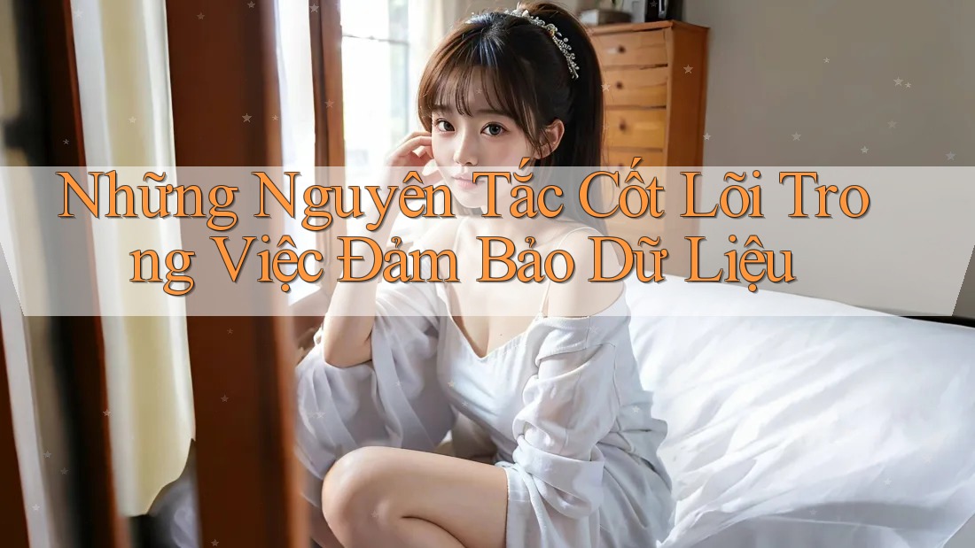 Những Nguyên Tắc Cốt Lõi Trong Việc Đảm Bảo Dữ Liệu Những Nguyên Tắc Cốt Lõi Trong Việc Đảm Bảo Dữ Liệu