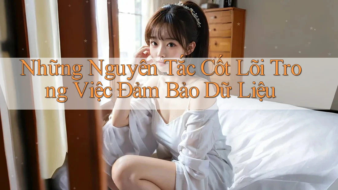 Những Nguyên Tắc Cốt Lõi Trong Việc Đảm Bảo Dữ Liệu Những Nguyên Tắc Cốt Lõi Trong Việc Đảm Bảo Dữ Liệu